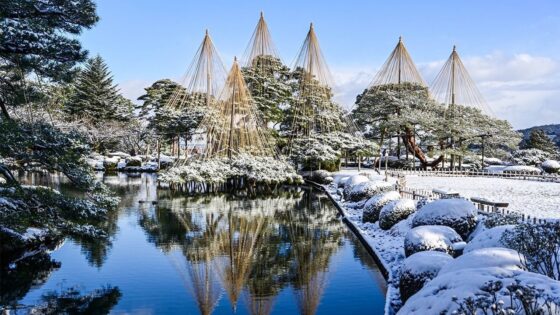 ‘Yukizuri’: una técnica tradicional para proteger los árboles en invierno