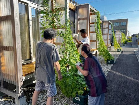 Las “cortinas verdes”, la propuesta de una organización japonesa para combatir el calor extremo